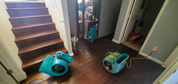 Best Water damage restoration services  in Westport, WA