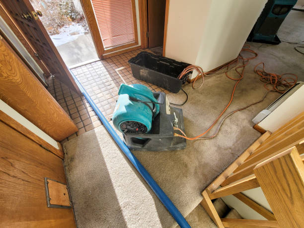 Best Residential water damage restoration  in Westport, WA