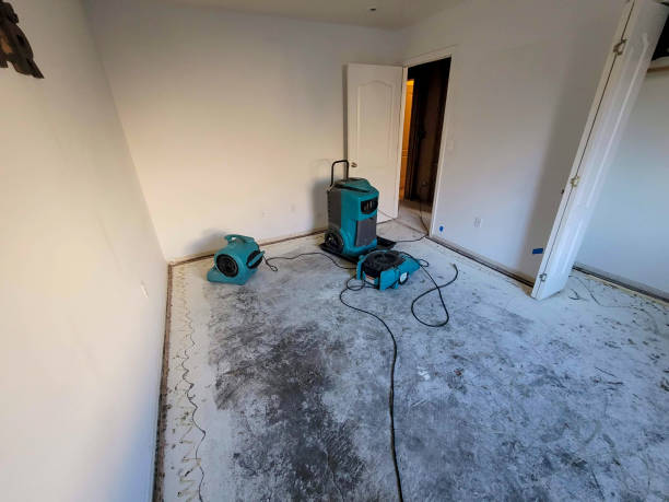Best Commercial water damage restoration  in Westport, WA