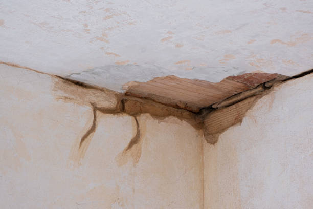 Best Water damage restoration company  in Westport, WA