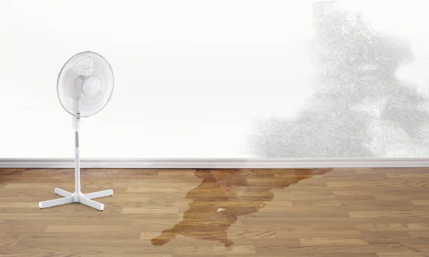 Best Flooded house restoration  in Westport, WA