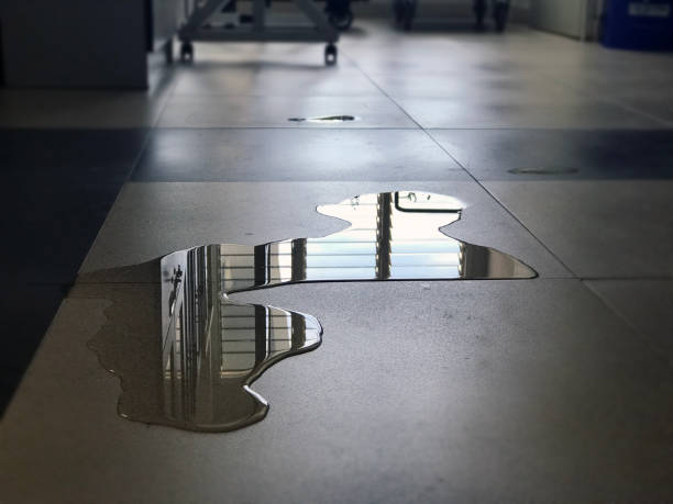 Best Emergency water damage restoration  in Westport, WA