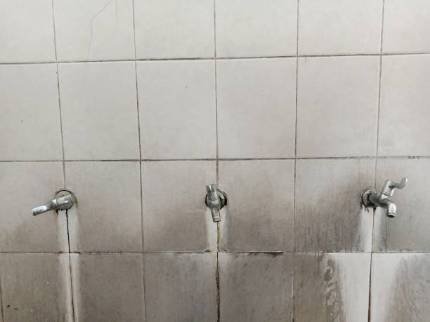 Best Basement water damage restoration  in Westport, WA