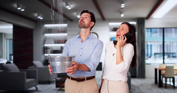 Best Professional water damage repair  in Westport, WA