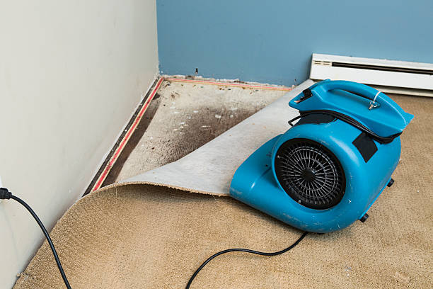 Best Mold removal after water damage  in Westport, WA